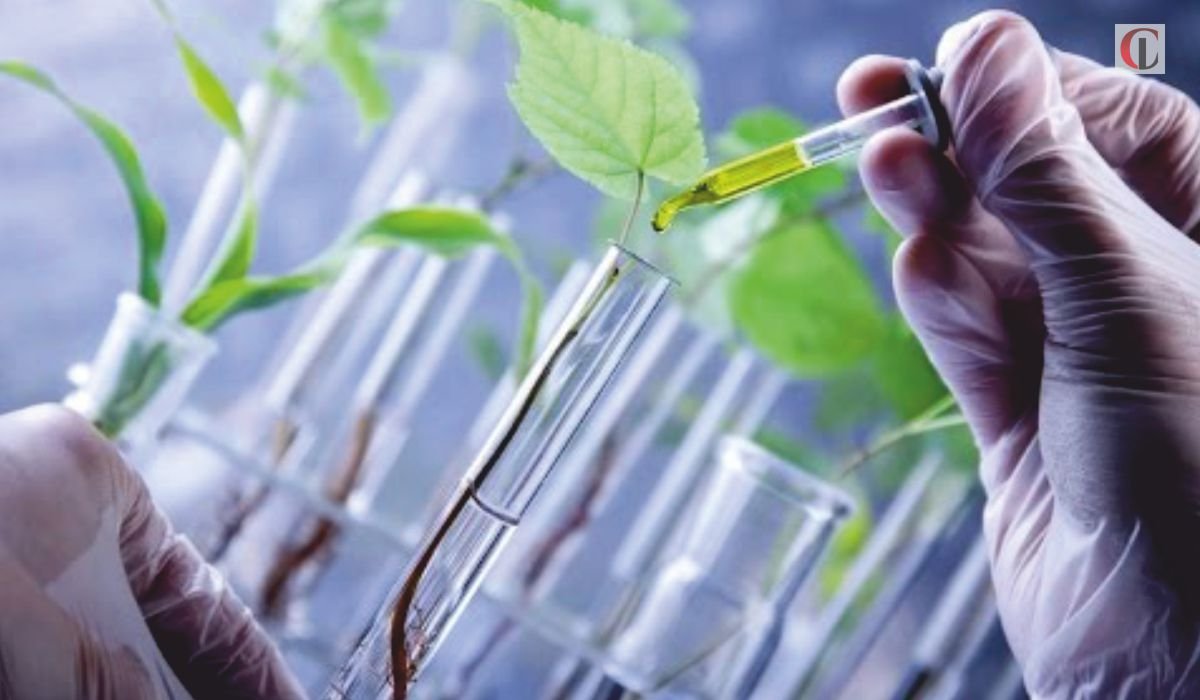 Agriculture Biotechnology Revolutionizing Agriculture Process Globally