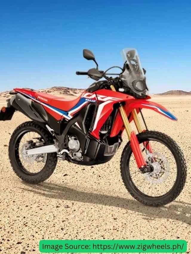 2024 Honda CRF300L & CRF300LS Rally First Look CIO Look