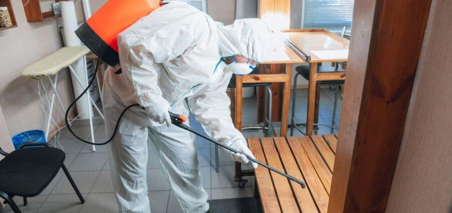 The 6 Pests You Need Emergency Pest Removal Services For