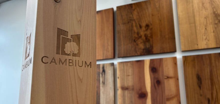 Cambium